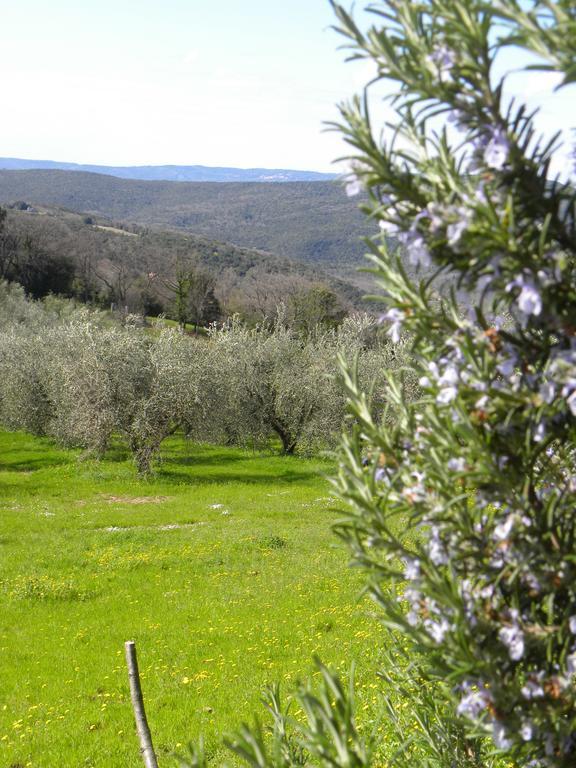 Agriristoro Podere S. Andrea 마사마리티마 외부 사진