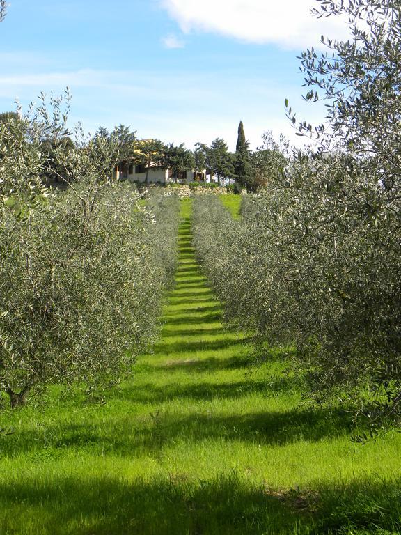 Agriristoro Podere S. Andrea 마사마리티마 외부 사진