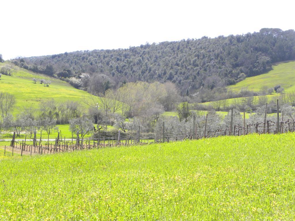 Agriristoro Podere S. Andrea 마사마리티마 외부 사진