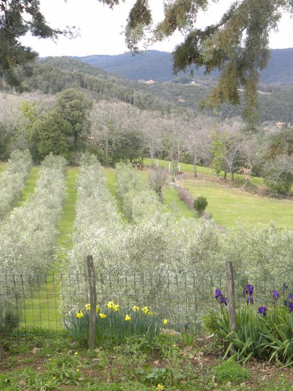 Agriristoro Podere S. Andrea 마사마리티마 외부 사진