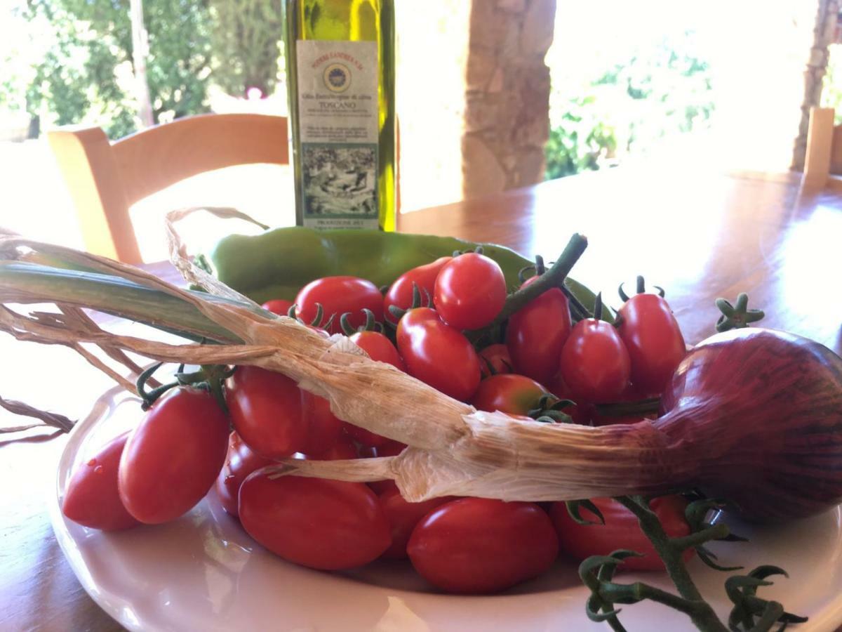Agriristoro Podere S. Andrea 마사마리티마 외부 사진